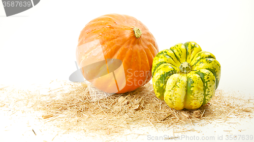 Image of Pumpkins on White Background