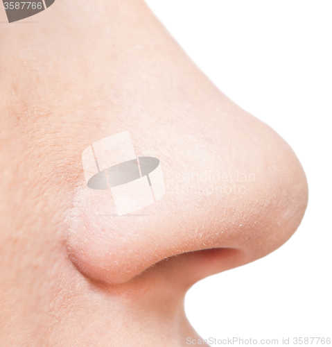 Image of woman nose