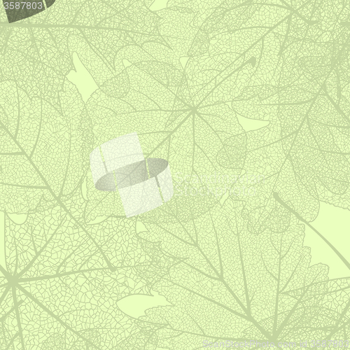 Image of Detailed leaves seamless background. EPS 10