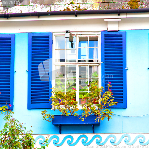 Image of notting   hill  area  in london england old suburban and flowers