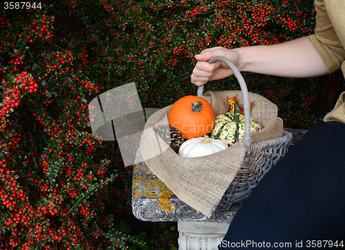 Image of Woman sitting on bench with a basket of fall gourds