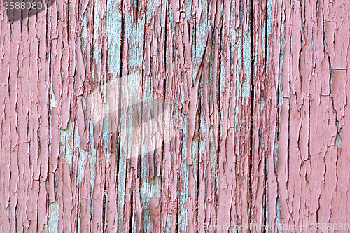 Image of old wood plaque texture or background