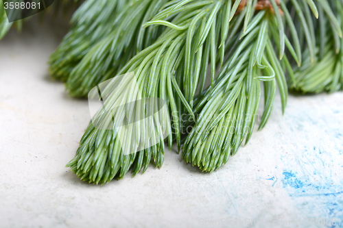 Image of Fir-needle tree branches composition as a background texture