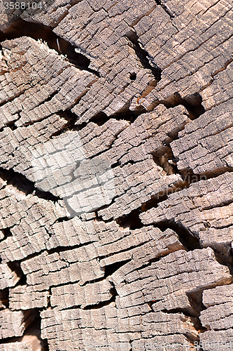 Image of old wood plaque texture or background