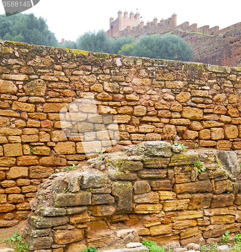 Image of chellah  in morocco africa the old roman deteriorated monument a