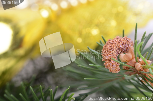 Image of Image of Christmas tree branch with golden material, festive border, New Year greeting card, magic night, glowing backdrop, xmas decoration, holiday ornament