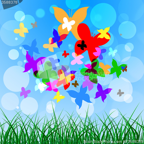 Image of Background Butterflies Represents Summer Time And Creature