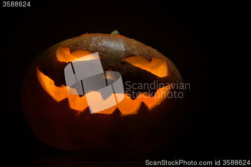 Image of Halloween pumpkin on black