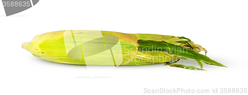 Image of Crude ripe ear of corn