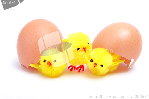 Image of Eggs with toy chickens