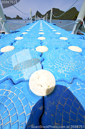 Image of plastic pier  coastline of a  green lagoon and rope phangan   ba