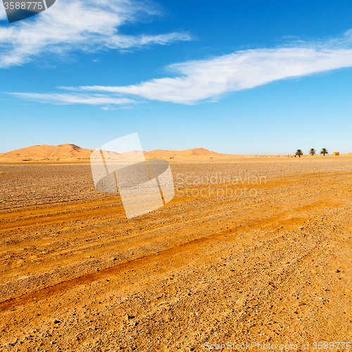 Image of mountain old fossil in  the desert of morocco sahara and rock  s