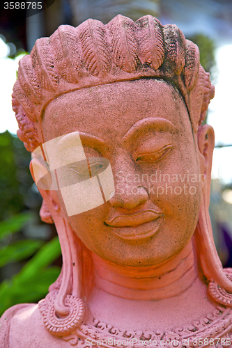 Image of siddharta   in the temple pink     step     wat  palaces   