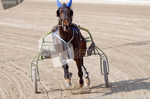 Image of Harness racing