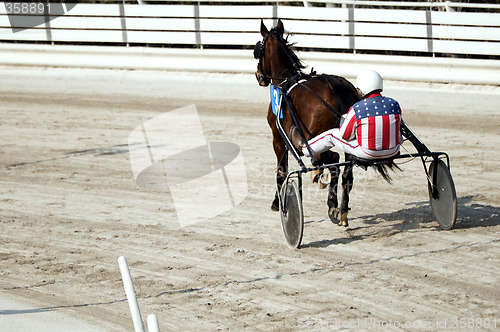 Image of Harness racing