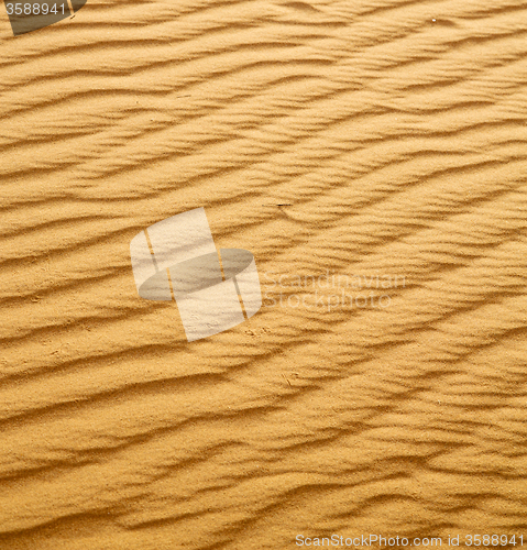 Image of the brown sand dune in the sahara morocco desert 