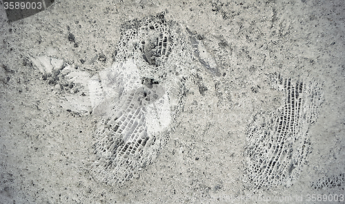 Image of Stone texture with fossils