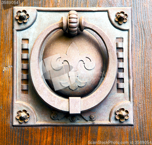 Image of   knocker in a  door curch  closed wood italy   cross