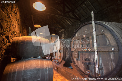 Image of EUROPE PORTUGAL PORTO PORT WINE CELLAR