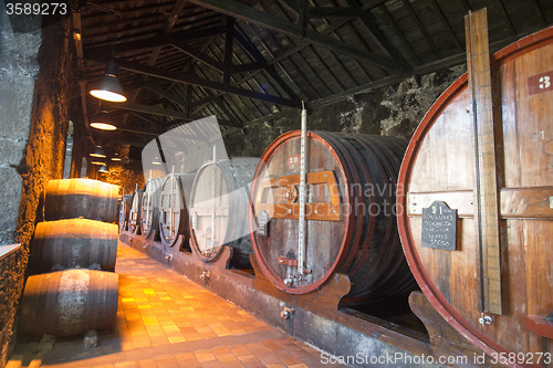 Image of EUROPE PORTUGAL PORTO PORT WINE CELLAR