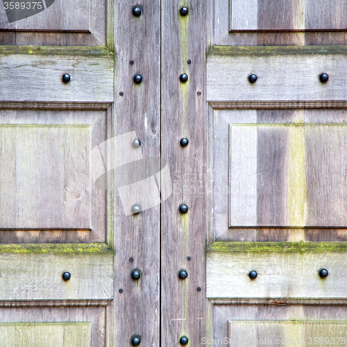 Image of in london antique brown door  rusty  brass nail and light