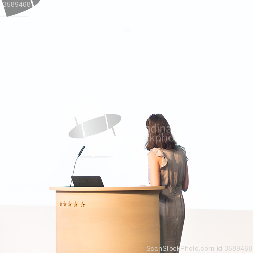 Image of Business woman making business presentation.