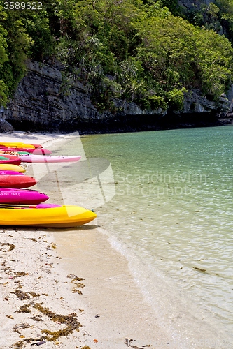 Image of  boat coastline of a  green lagoon  