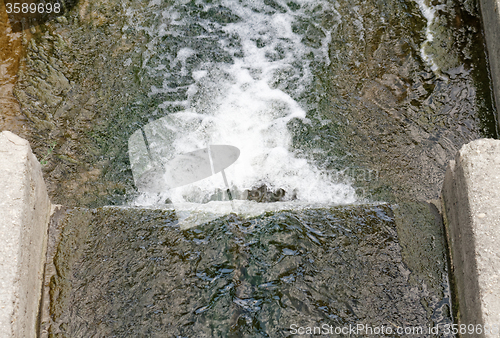 Image of Sewer drain pipe