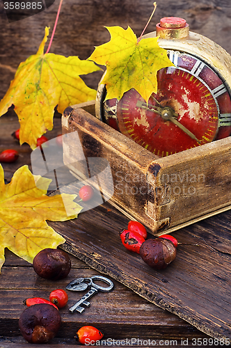 Image of old alarm clock in the autumn style