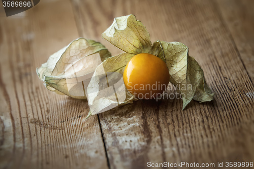 Image of physalis fruit