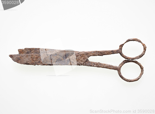 Image of Rusted scissors