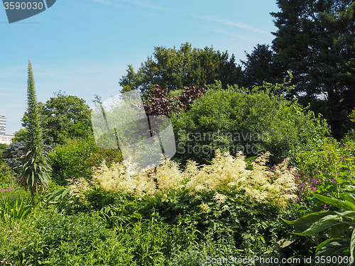 Image of St James Park in London