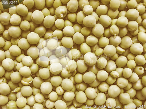 Image of Retro looking Green peas vegetable background