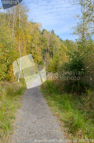 Image of one authumn day 