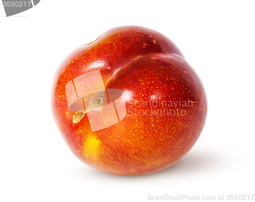 Image of Single yellow and red plum horizontally