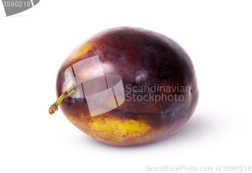 Image of Whole plum violet side