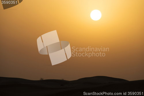 Image of Desert in the United Arab Emirates