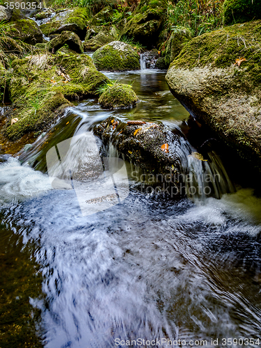 Image of Bavarian Forest, Bavaria, Germany