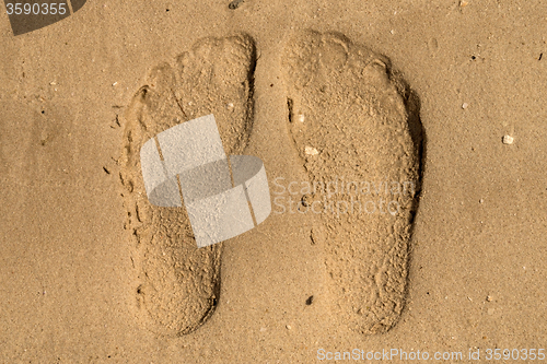 Image of Footprint in the Desert, United Arab Emirates
