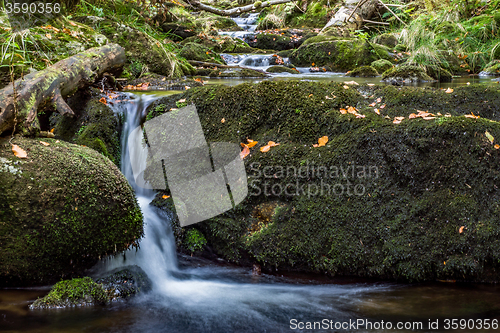 Image of Bavarian Forest, Bavaria, Germany