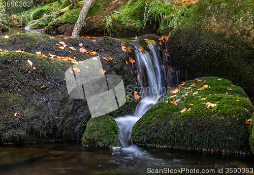 Image of Bavarian Forest, Bavaria, Germany