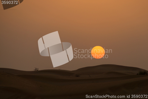 Image of Desert in the United Arab Emirates