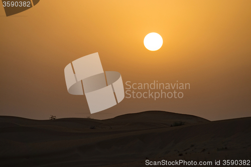 Image of Desert in the United Arab Emirates