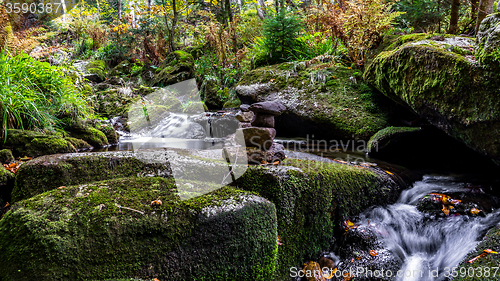 Image of Bavarian Forest, Bavaria, Germany