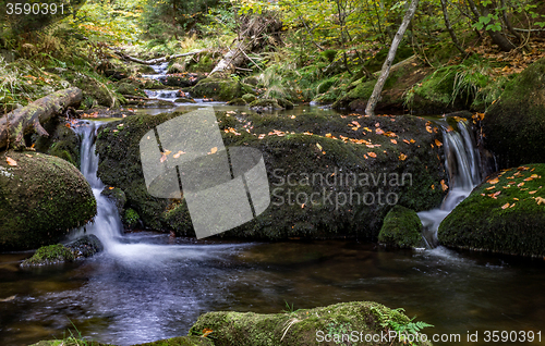 Image of Bavarian Forest, Bavaria, Germany