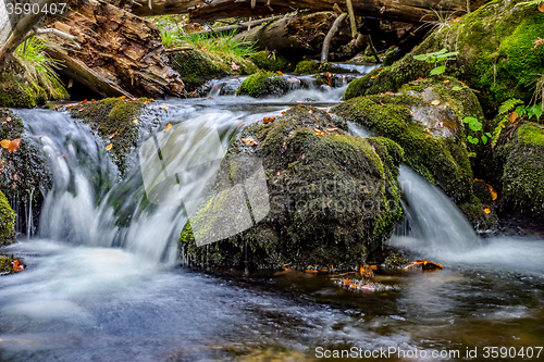 Image of Bavarian Forest, Bavaria, Germany