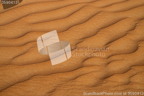 Image of Desert in the United Arab Emirates