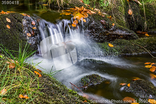 Image of Bavarian Forest, Bavaria, Germany