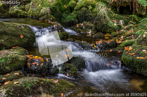Image of Bavarian Forest, Bavaria, Germany