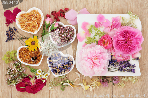 Image of Herbal Medicine Ingredients